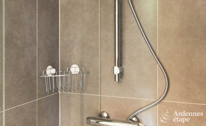 Ferienhaus Trois-Ponts 8 Pers. Ardennen