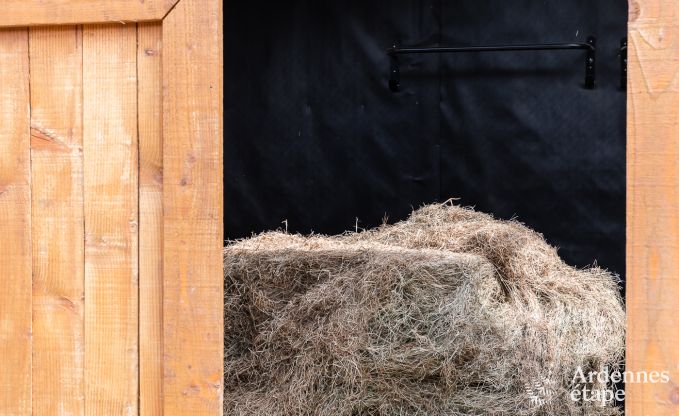 Komfortables Ferienhaus in Trois-Ponts fr 16 Personen