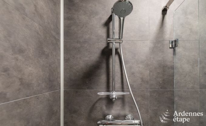 Komfortables Ferienhaus in Trois-Ponts fr 16 Personen