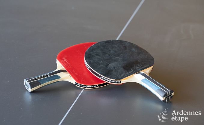 Komfortables Ferienhaus in Trois-Ponts fr 16 Personen