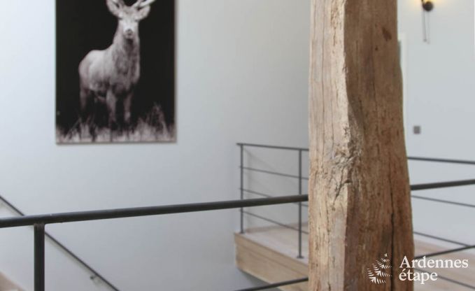 Ferienhaus Trois-Ponts 8 Pers. Ardennen Wellness