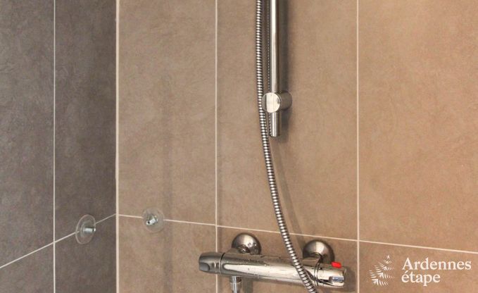 Ferienhaus Trois-Ponts 8 Pers. Ardennen Wellness