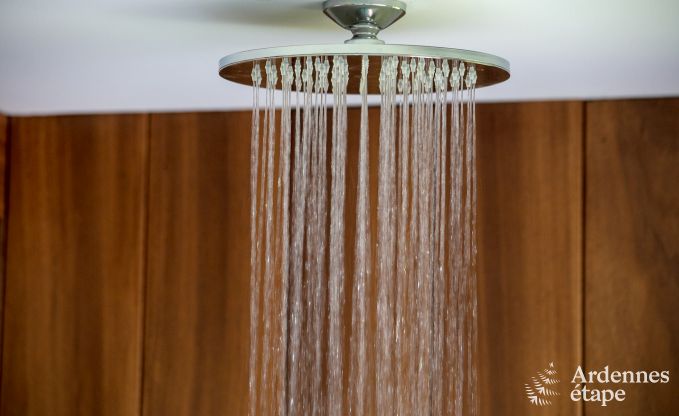 Ferienhaus Trois-Ponts 10 Pers. Ardennen Schwimmbad Wellness