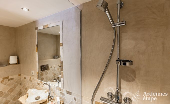 Ferienhaus Trois-Ponts 10 Pers. Ardennen Schwimmbad Wellness