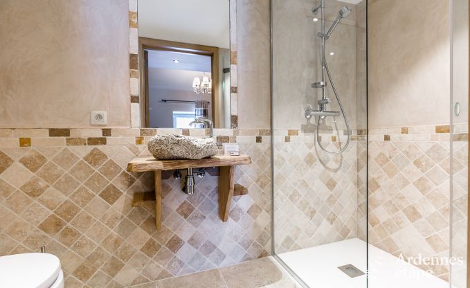 Ferienhaus Trois-Ponts 10 Pers. Ardennen Schwimmbad Wellness