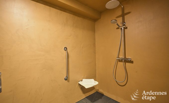 Gerumiges und luxurises  Ferienhaus mit Pool in Trois-Ponts, Ardennen