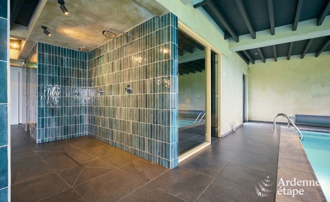 Gerumiges und luxurises  Ferienhaus mit Pool in Trois-Ponts, Ardennen