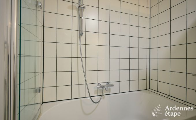 Gerumiges und luxurises  Ferienhaus mit Pool in Trois-Ponts, Ardennen