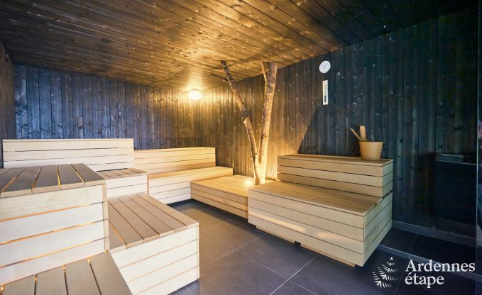 Gerumiges und luxurises  Ferienhaus mit Pool in Trois-Ponts, Ardennen
