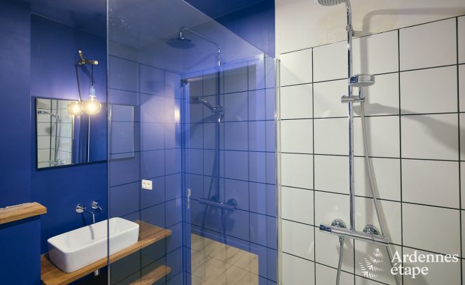 Gerumiges und luxurises  Ferienhaus mit Pool in Trois-Ponts, Ardennen