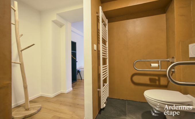 Gerumiges und luxurises  Ferienhaus mit Pool in Trois-Ponts, Ardennen