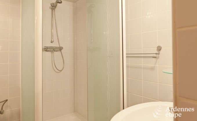 Luxusvilla Trois-Ponts 19 Pers. Ardennen Schwimmbad