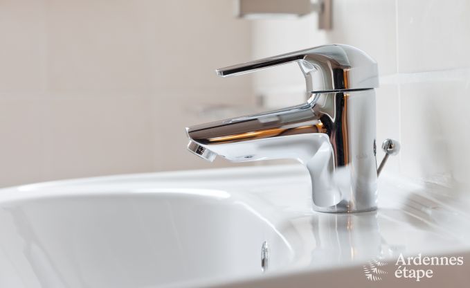 Luxusvilla Trois-Ponts 19 Pers. Ardennen Schwimmbad