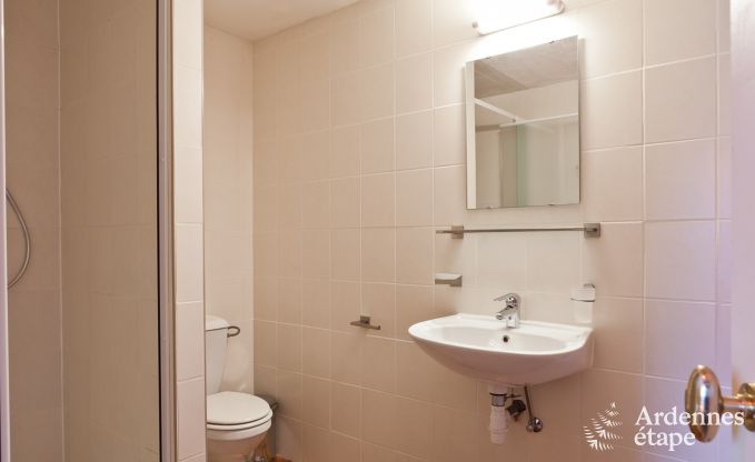 Luxusvilla Trois-Ponts 19 Pers. Ardennen Schwimmbad