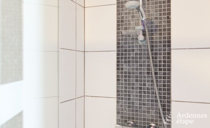 Luxusvilla Trois-Ponts 19 Pers. Ardennen Schwimmbad