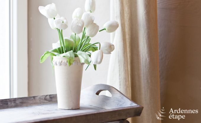 Luxusvilla Trois-Ponts 19 Pers. Ardennen Schwimmbad