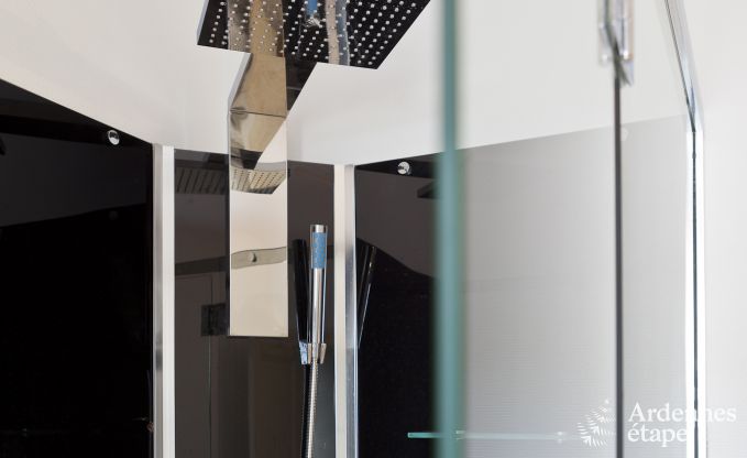 Schloss in Trois-Ponts f�r 14 Personen in den Ardennen