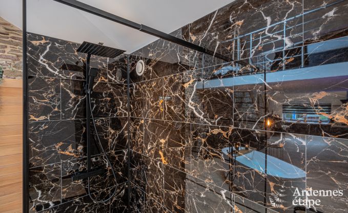 Charmante Ferienwohnung mit Sauna in Trois-Ponts