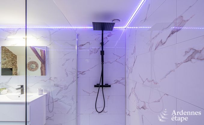 Charmante Suite f�r Paare in Trois-Ponts, Ardennen