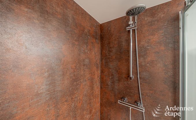 Wohnung Trois-Ponts 5 Pers. Ardennen Wellness