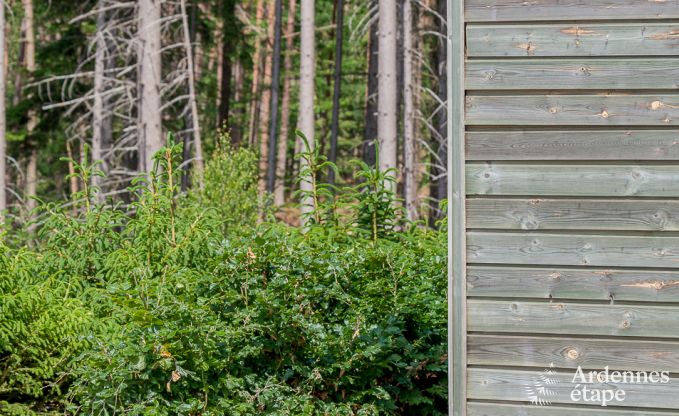Chalet Trois-Ponts 6 Pers. Ardennen