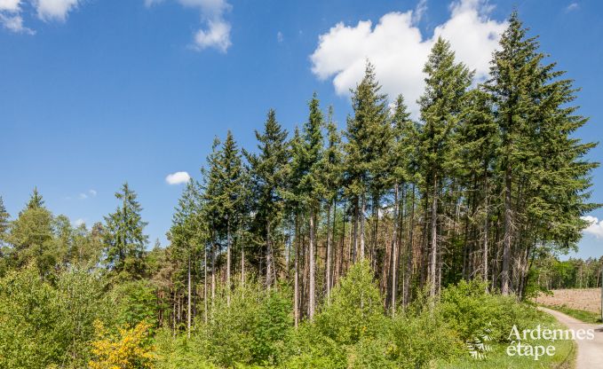 Chalet Trois-Ponts 6 Pers. Ardennen