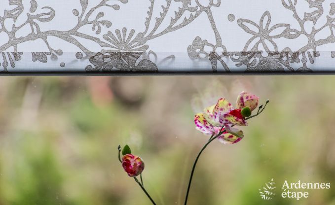 Chalet Trois-Ponts 4 Pers. Ardennen Wellness