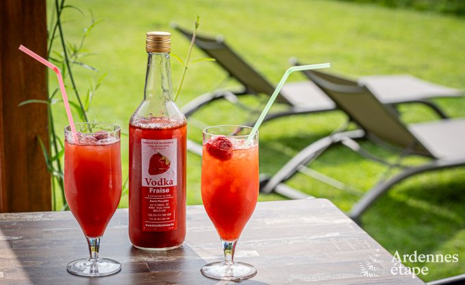 Chalet Trois-Ponts 2/4 Pers. Ardennen Schwimmbad Wellness