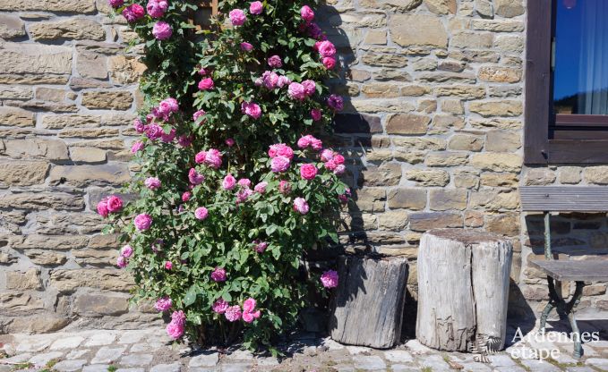 Ferienhaus Trois-Ponts 8 Pers. Ardennen