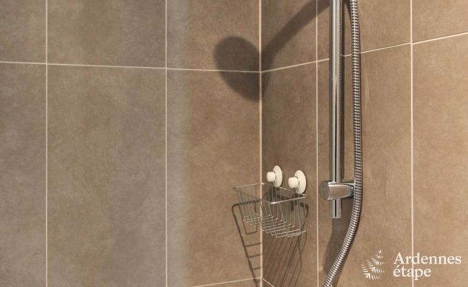 Ferienhaus Trois-Ponts 8 Pers. Ardennen Wellness