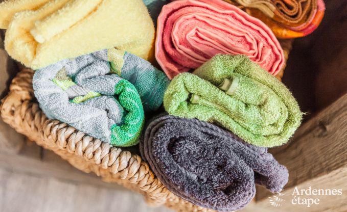 Ferienhaus Trois-Ponts 8 Pers. Ardennen Wellness Behinderten gerecht