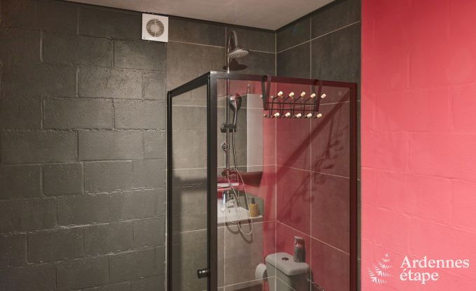 Ferienhaus in Trois-Ponts fr 8 Personen mit Sauna, Spielzimmer und Privatgarten