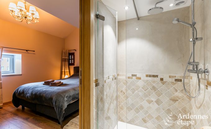 Ferienhaus Trois-Ponts 10 Pers. Ardennen Schwimmbad Wellness