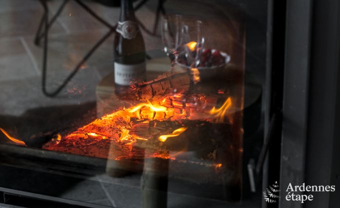 Ferienhaus Trois-Ponts 10 Pers. Ardennen Schwimmbad Wellness