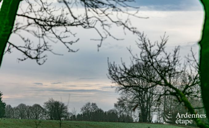 Ferienhaus Vaux-sur-S�re 2/3 Pers. Ardennen