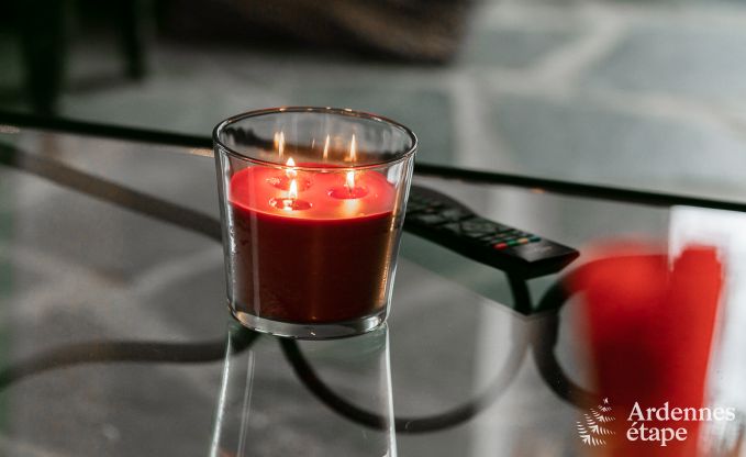 Ferienhaus Vaux-sur-S�re 2/3 Pers. Ardennen