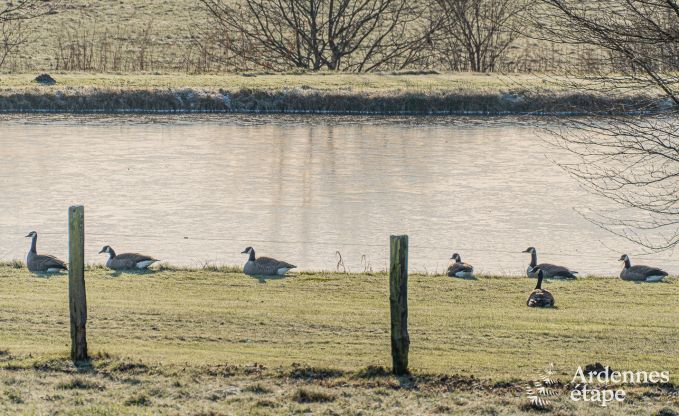 Ferienhaus Vaux-sur-Sre 8 Pers. Ardennen Wellness