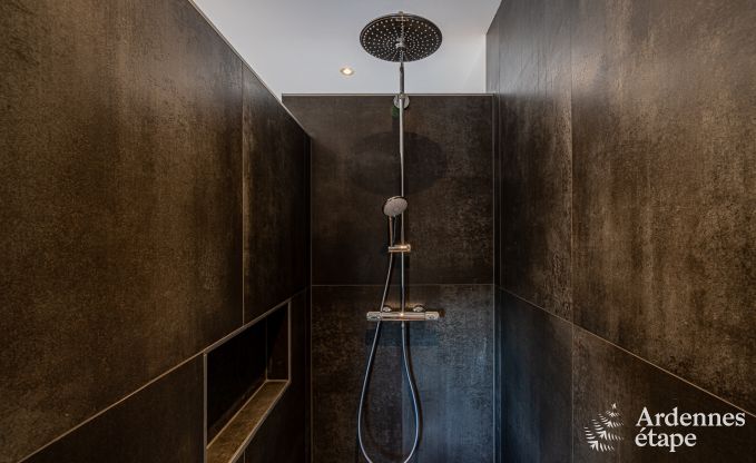 Ferienhaus Vaux-sur-S�re 8 Pers. Ardennen Wellness