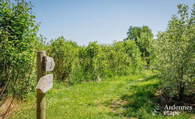 auergewhnliche Ferienwohnung Vaux-sur-Sure 2 Pers. Ardennen Wellness