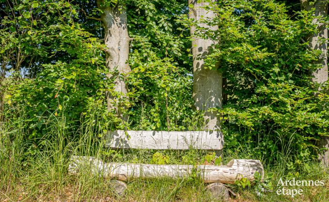 auergewhnliche Ferienwohnung Vaux-sur-Sure 2 Pers. Ardennen Wellness