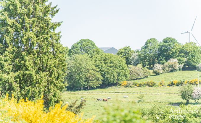 au�ergew�hnliche Ferienwohnung Vaux-sur-Sure 2/4 Pers. Ardennen Wellness