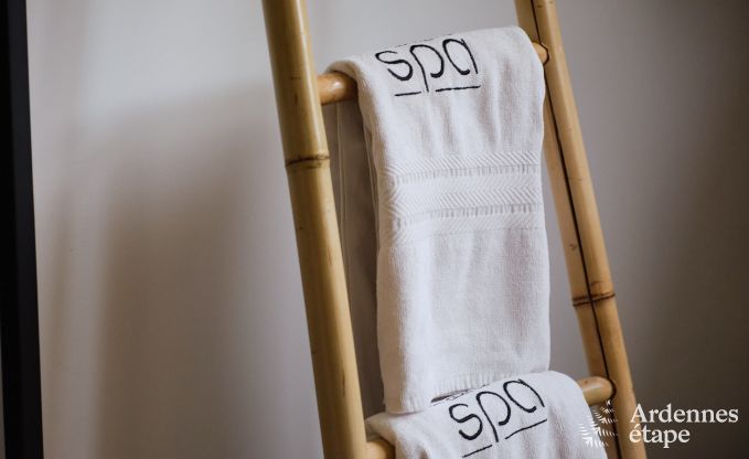 Au�ergew�hnliches Ferienhaus mit tollem Wellnessbereich und privatem Pool in Vaux -sur - S�re