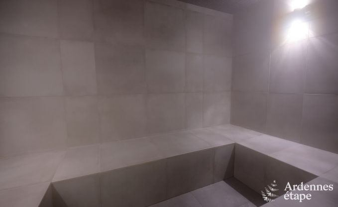 Au�ergew�hnliches Ferienhaus mit tollem Wellnessbereich und privatem Pool in Vaux -sur - S�re