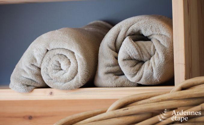 Au�ergew�hnliches Ferienhaus mit tollem Wellnessbereich und privatem Pool in Vaux -sur - S�re