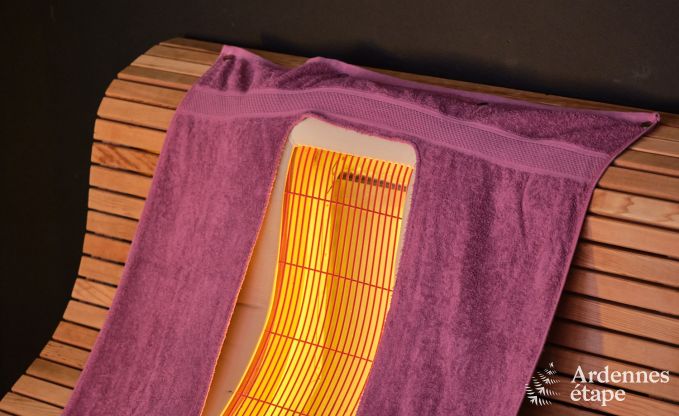 Au�ergew�hnliches Ferienhaus mit tollem Wellnessbereich und privatem Pool in Vaux -sur - S�re