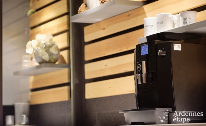 Au�ergew�hnliches Ferienhaus mit tollem Wellnessbereich und privatem Pool in Vaux -sur - S�re