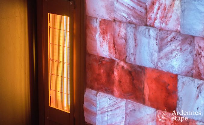 Au�ergew�hnliches Ferienhaus mit tollem Wellnessbereich und privatem Pool in Vaux -sur - S�re