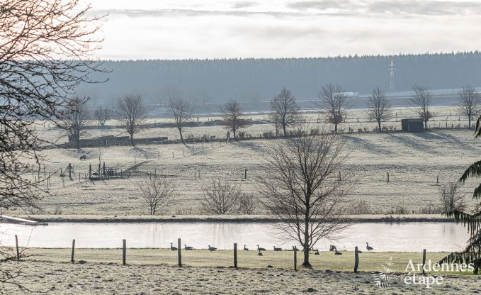 Ferienhaus Vaux-sur-Sre 8 Pers. Ardennen Wellness