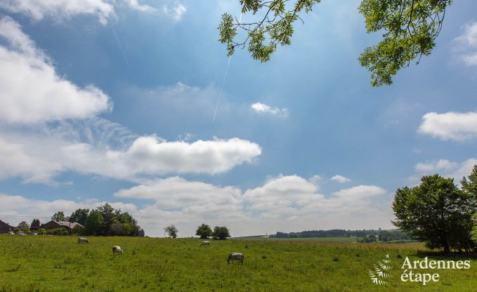 Luxusvilla Vaux-sur-S�re 6/9 Pers. Ardennen Wellness