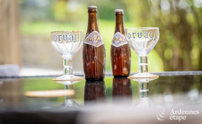 Einzigartiges Ferienhaus mit 2 Schlafzimmern in Vaux-sur-Sure